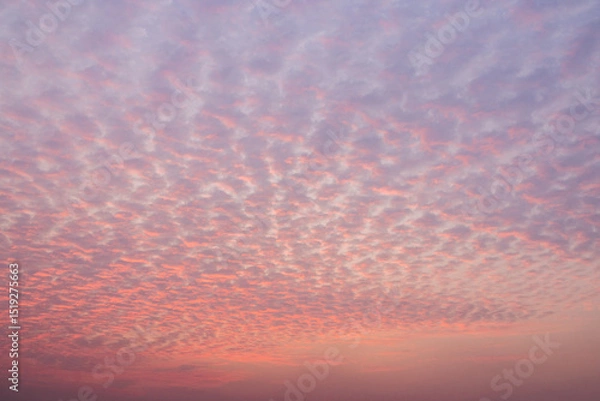 Obraz Sunset sky and evening glow