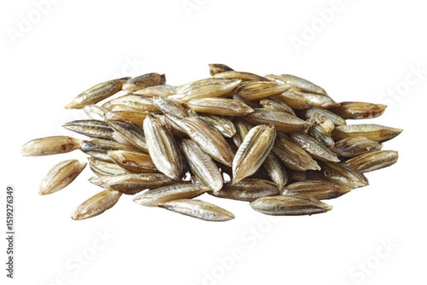 Fototapeta Pile of Einkorn Wheat Grains Isolated on Transparent Background, Einkorn, Wheat, Grain