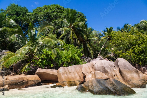 Obraz A coast with giant granite stones, trees and palms, the Indian Ocean and blue sky with clouds. La Digue, the Seychelles