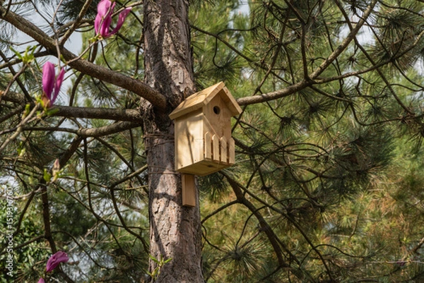 Fototapeta Wooden birdhouse hangs on thick trunk pine tree Pinus parviflora Glauca amidst green pine needles and blooming pink flowers.