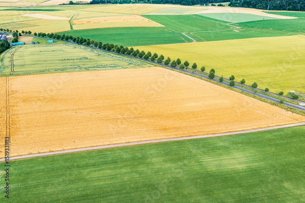 Fototapeta A tree-lined road through fields and meadows in the Taunus Mountains from a bird's eye view