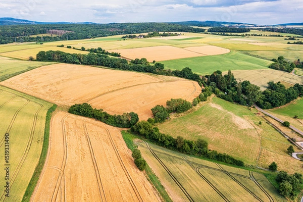 Fototapeta A bird's eye view of agricultural land on a sunny summer day in the Taunus Mountains