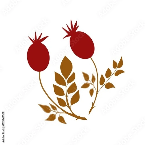 Fototapeta 
rosehip, pattern, decor, art, symbol, part of the logo, logo, flower