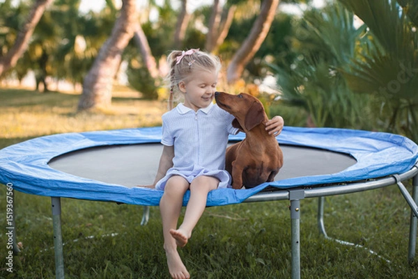 Obraz a three year old smiling girl playing with dachshund dog on trampoline in green sunny summer park