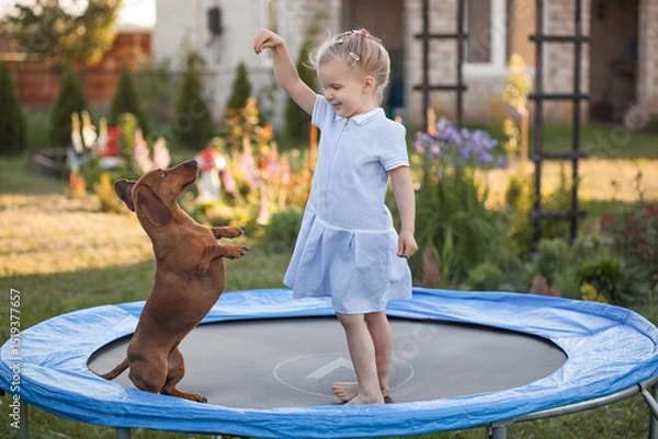 Obraz a three year old smiling girl playing with dachshund dog on trampoline in green sunny summer park