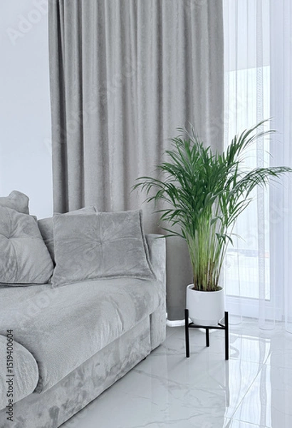 Obraz Bright living room interior with a gray sofa and a parlor palm plant by large floor-to-ceiling windows. Minimalist and cozy home decor with natural light and neutral tones.