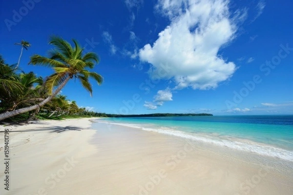 Fototapeta Serene tropical beach with soft white sand, leaning palm trees, turquoise water, and a bright blue sky with scattered clouds