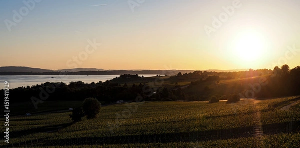 Fototapeta OLYMPUS DIGITAL CAMERA