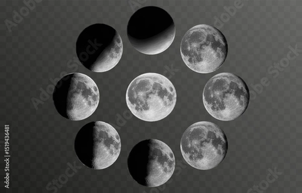 Fototapeta Set of realistic vector moon on an isolated transparent background. Moon vector png.