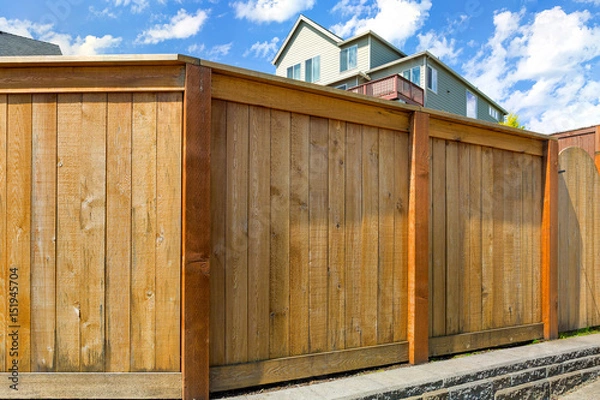 Obraz House Backyard Wood Fence with Gate