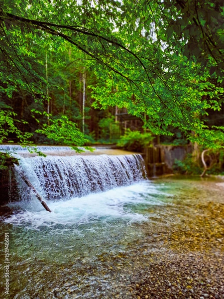 Obraz waterfall in the forest
