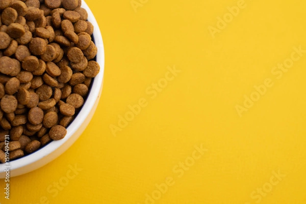 Fototapeta Dog and cat food in a bowl. Copy, space for text