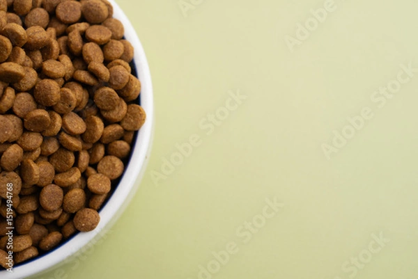 Fototapeta Dog and cat food in a bowl. Copy, space for text