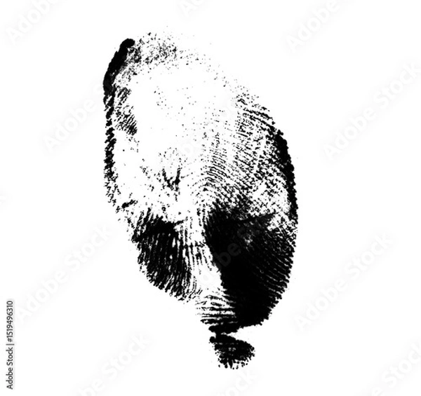 Fototapeta High resolution isolated black fingerprint on white background