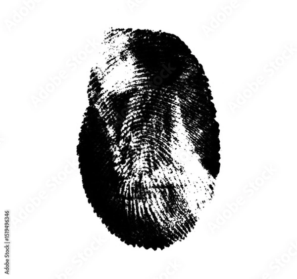 Fototapeta High resolution isolated black fingerprint on white background