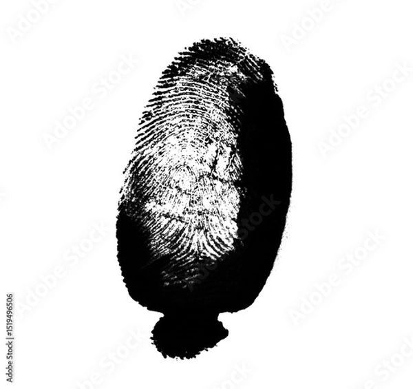 Fototapeta High resolution isolated black fingerprint on white background