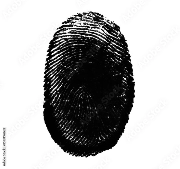 Fototapeta High resolution isolated black fingerprint on white background