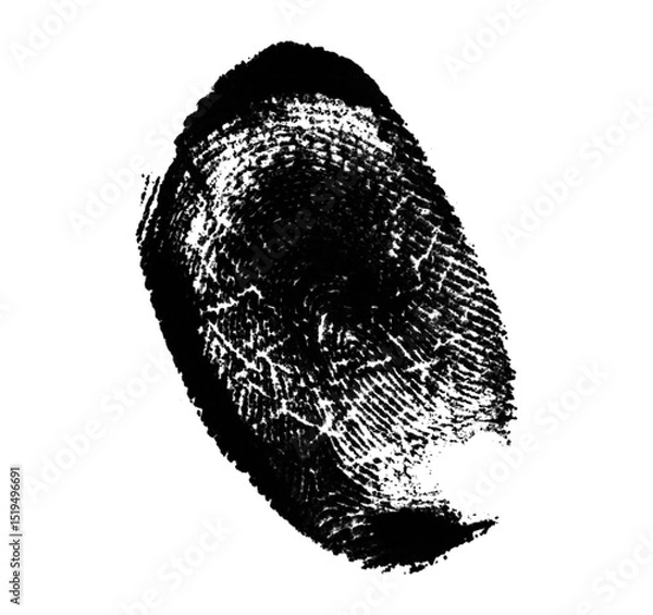 Fototapeta High resolution isolated black fingerprint on white background