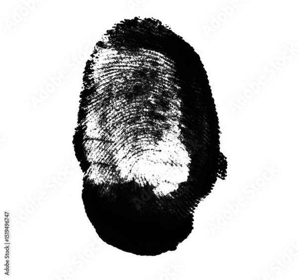 Fototapeta High resolution isolated black fingerprint on white background