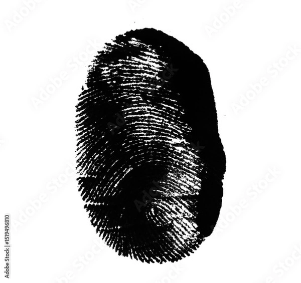 Fototapeta High resolution isolated black fingerprint on white background