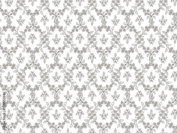 Fototapeta 繊細な植物モチーフのシームレスなパターン /手描き風、線画、ダマスク柄、背景、ナチュラル