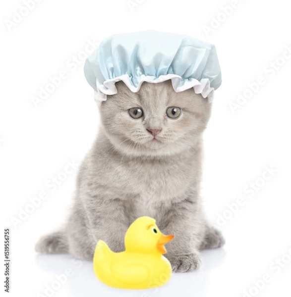 Obraz Funny kitten with tiny shower cap on it head sits in front view with rubber duck. isolated on white background