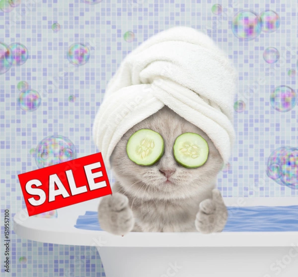 Obraz Funny kitten with towel on it head and with slices of cucumber on it eyes takes a bath at home, shows thumbs up gesture and signboard with labeled "sale"
