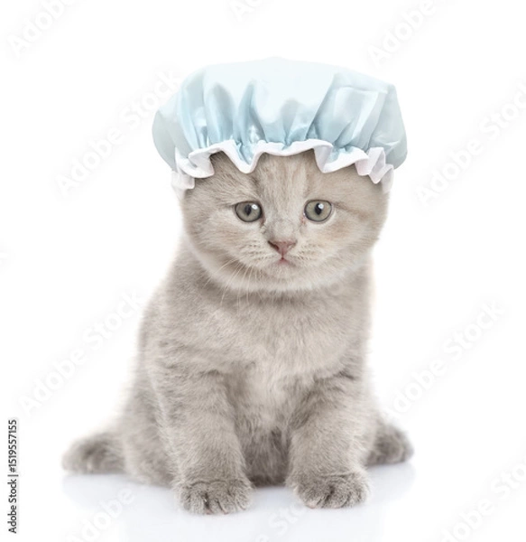Obraz Cute kitten with tiny shower cap on it head sits in front view and looks at camera. isolated on white background