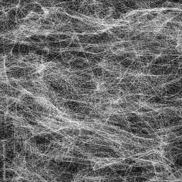 Obraz Abstract black and white background