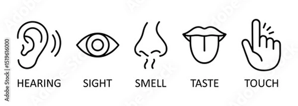 Fototapeta Line icon set representing the five human senses: hearing, sight, smell, taste, and touch. Perfect for educational materials, health apps, infographics, and school projects