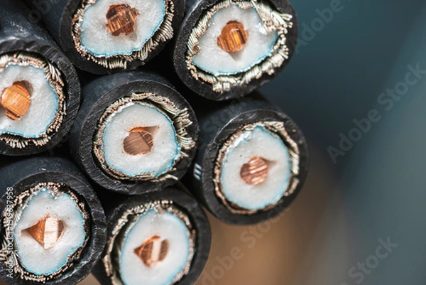 Obraz A bundle of cut coaxial cables, close-up cross-sectional view