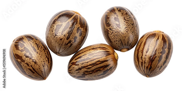 Fototapeta Four Castor Beans Isolated on Transparent Background, High-Resolution Image, Natural Product, Castor oil, Ricinus communis, seeds