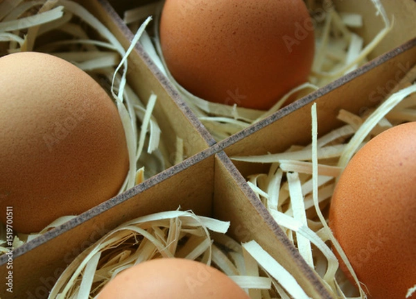 Obraz Domestic Eggs Wrapped with Wood Straws in a Plywood Container 
