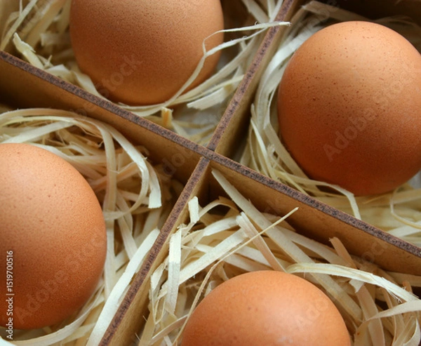 Obraz Raw Farm Eggs in a Shavings into Plywood Box with Compartments