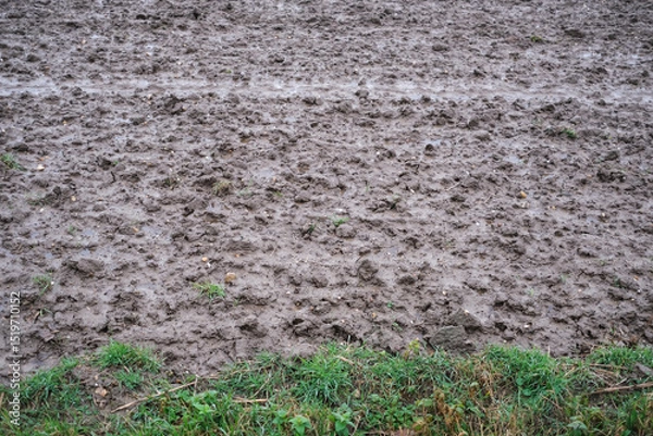 Fototapeta a muddy field after the rain