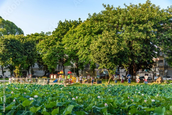 Fototapeta In summer, lotus flowers are in full bloom in the lotus pond of Caotang Park, Dongguan, China.



