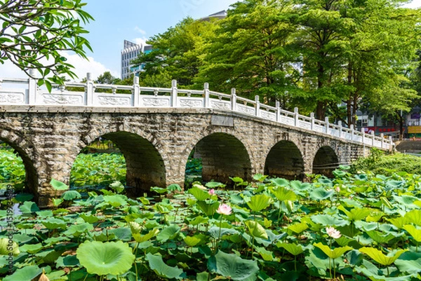 Fototapeta In summer, lotus flowers are in full bloom in the lotus pond of Caotang Park, Dongguan, China.










