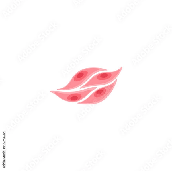 Fototapeta muscle cell illustration