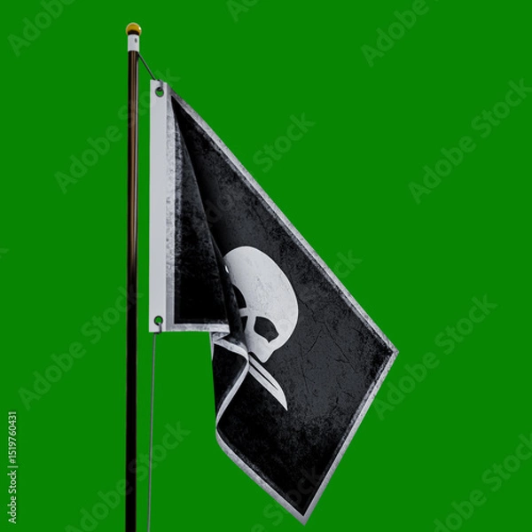 Obraz Pirate flag  isolated  on green background