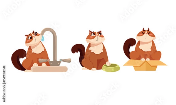 Obraz Joyful and Playful Cats Having Fun Interacting with Water, Food, and various Boxes