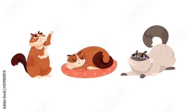 Obraz Charming Pixel Art Depicting Cats Engaging in Various Delightful Poses and Activities