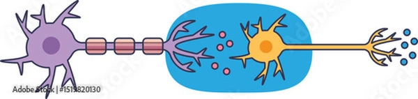 Obraz Illustration of neurons showing synaptic transmission between cells.
