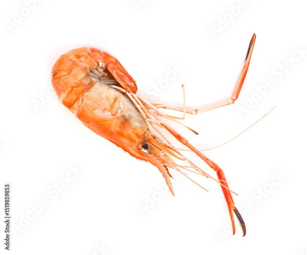 Obraz grill shrimp isolated on white background