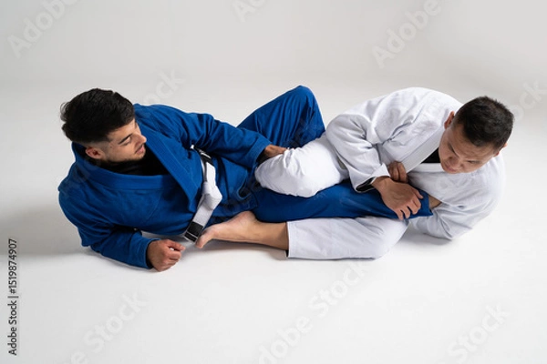 Fototapeta Two jiu jitsu athletes performing a leg lock on white background