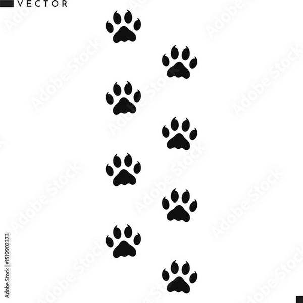 Obraz Wild animal paw prints. Sumatran tiger paw prints vector illustration 