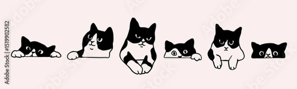 Fototapeta Black and white cat peeking, looking out. Funny characters set. Cute emotional domestic animal. Hiding, hunting, playing, sitting, lying concept. Hand drawn Vector illustration. Isolated elements