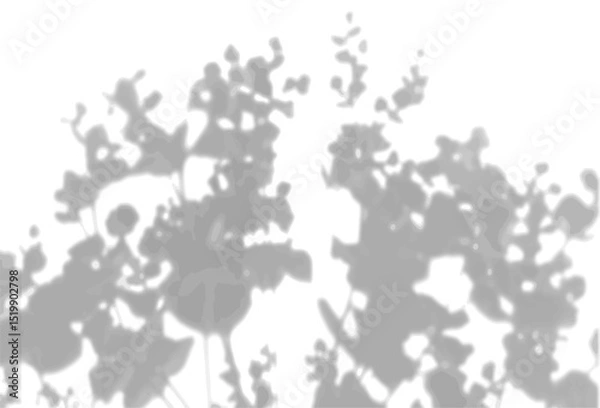 Fototapeta The shadow of the field grass on the white wall. A black and white image to overlay on a photo or mockup