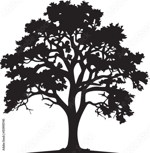 Fototapeta Oak tree silhouette design graphic vector tree with leaves black