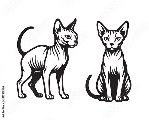Obraz Black and white vector illustration of two Donskoy hairless cats in standing and sitting poses. Minimalist style, perfect for tattoos, prints, or logos. Animal.