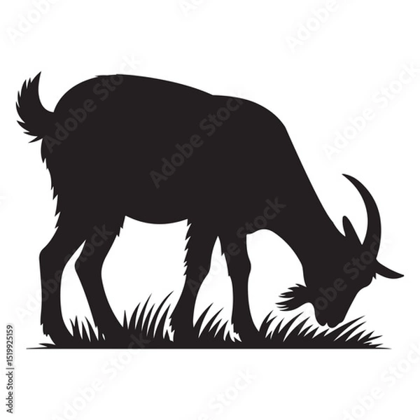 Obraz Black vector silhouette illustration of a goat eat grass